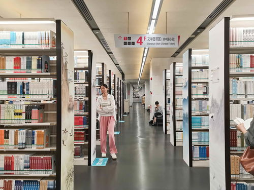 四、公共图书馆资源