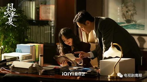 三、剧集简介与观看建议