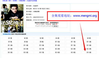 三、粤语版点金胜手与风险管理