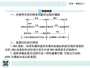 二、共同兴趣，加深了解