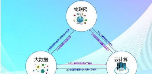 三、相互支持，共同成长