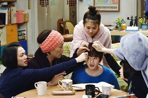 五、三姐妹的团圆之路