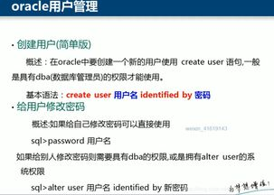 五、用户互动与社区建设