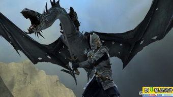 1. 指环王三部曲：史诗般的冒险之旅