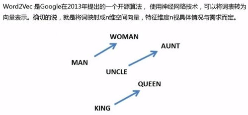 五、技术细节与语言处理的探讨