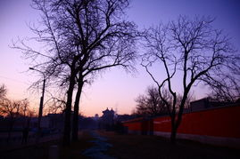 二、借助自然景物的隐喻