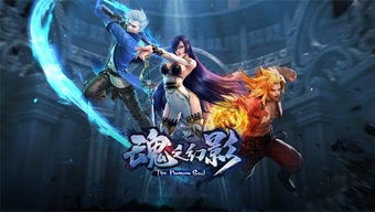 三、魂兽与魂师的共生关系