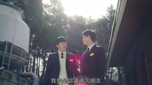 一、短剧的魅力：为何如此受欢迎？