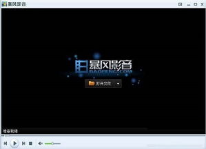 一、高清视频播放器的选择