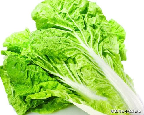四、半截白菜的营养价值