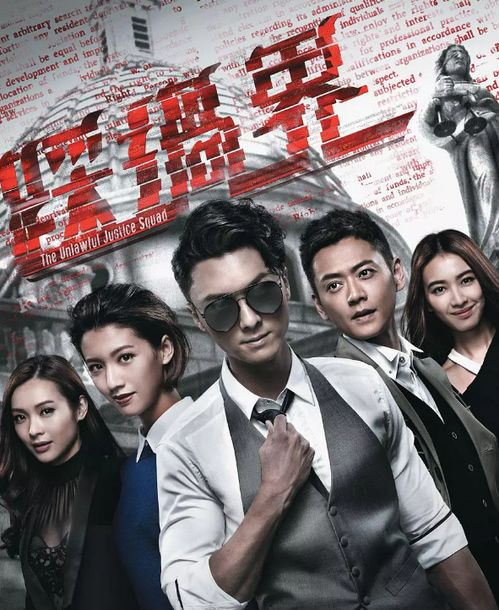 五、电视剧频道的多元化发展