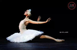 一、越跳衣服越少的舞蹈视频现象解析