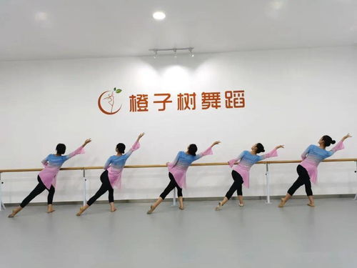 四、舞蹈文化的传承与创新