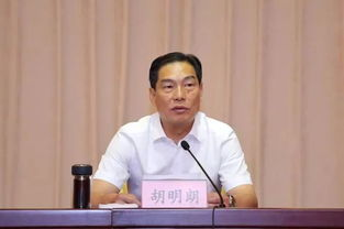 四、张明的决定与影响