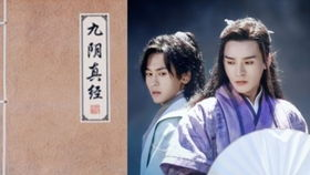 四、电视剧与小说的对比