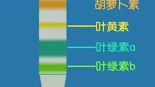 四、技术与艺术结合