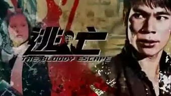 二、邵氏电影的经典作品