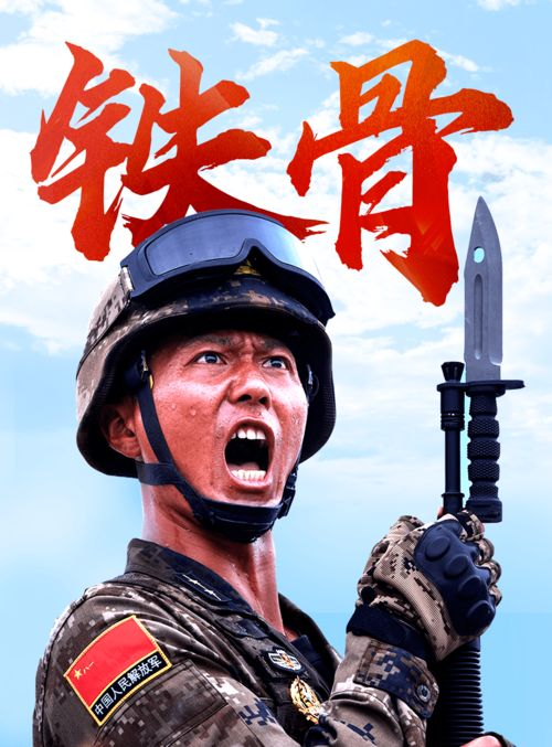 三、观看前的准备