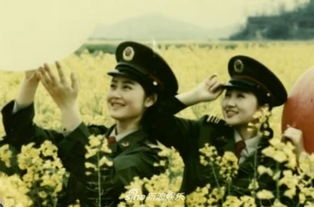 五、军中绿花的传承与发展