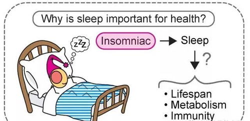 一、睡眠的重要性