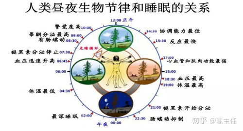 二、影响睡眠的因素