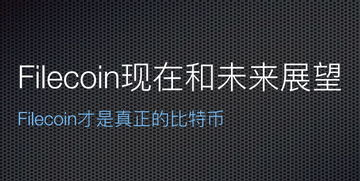 五、飘雪网的未来展望