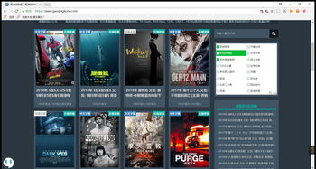 一、如何选择高清影片资源
