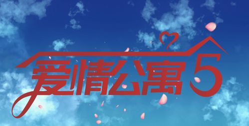 5. 爱情公寓系列回顾与展望