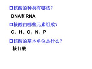 二、官网内容结构与特色