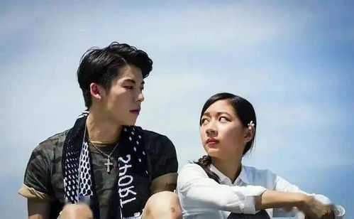 三、免费观看电视剧的合法途径