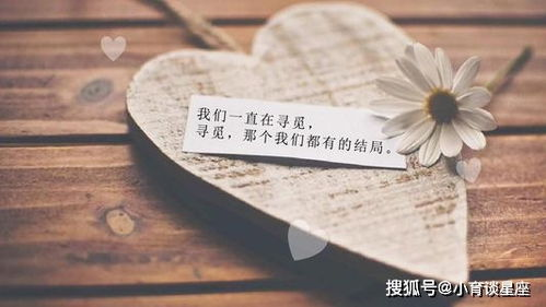 四、情感元素的融入与深化