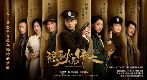 三、免费观看电视剧的多种方式