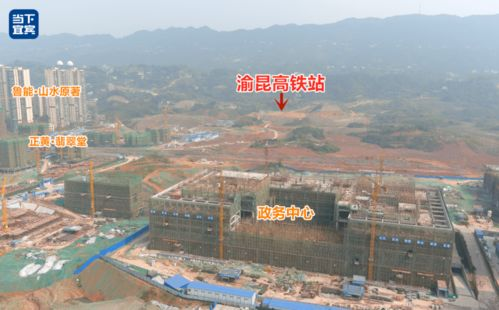 五、职业发展的长远规划