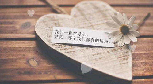 三、情感表达与价值传达