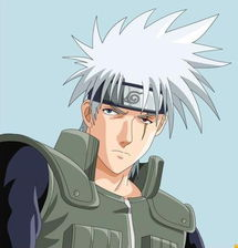 五、火影18家在现代动漫文化中的影响