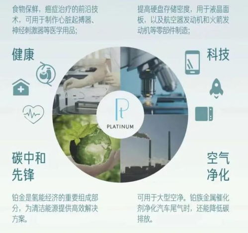 五、影视人才培养与行业可持续发展