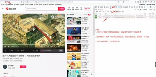 二、免费高清电影资源的获取方式