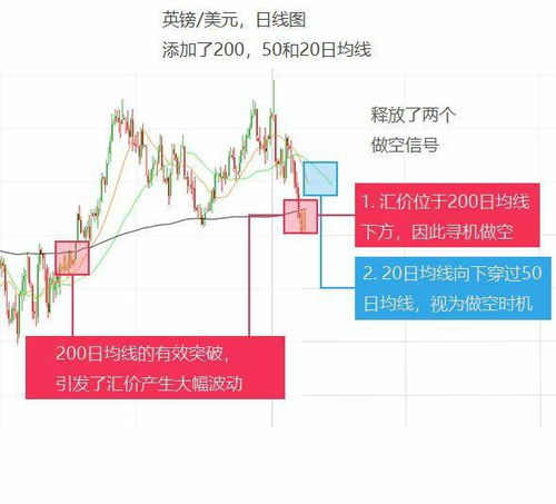 四、经济系统与交易市场
