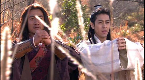 二、乔峰与段誉的兄弟情深