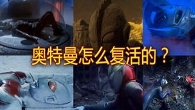 二、果实的力量：死而复生的奇迹