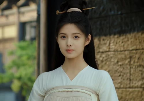 三、赵晴影响将军府的决策