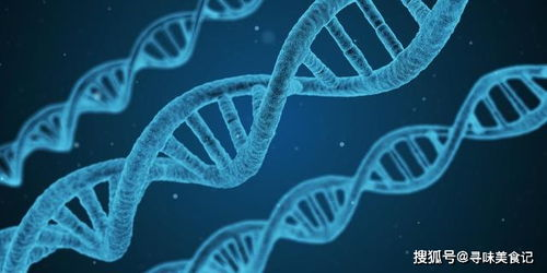 三、已确认有生命的星球案例