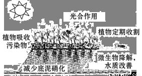 一、迟到的欢愉：生活节奏的产物