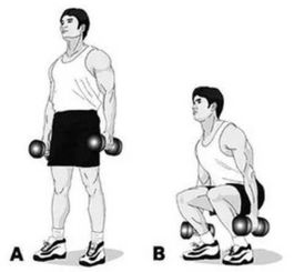 四、免费观看的正确姿势