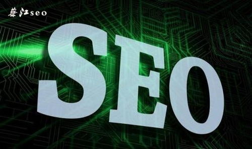 三、更新速度与内容质量