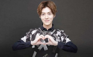 二、主要演员阵容