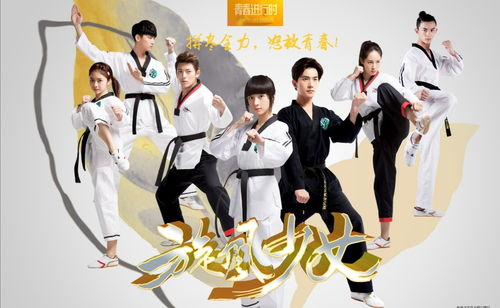 一、合法观看旋风少女第一季的途径