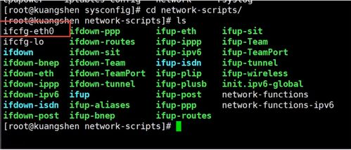 一、游戏规则与基础设定