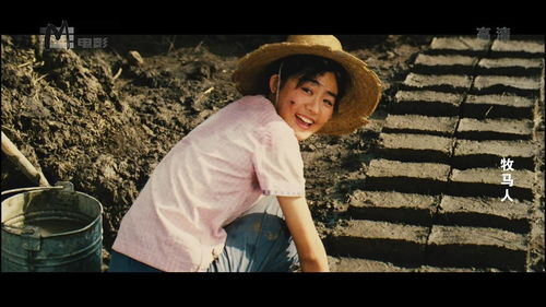 三、情感表达：甜蜜与苦涩交织