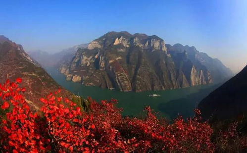 三、巫山云与地方经济的关联